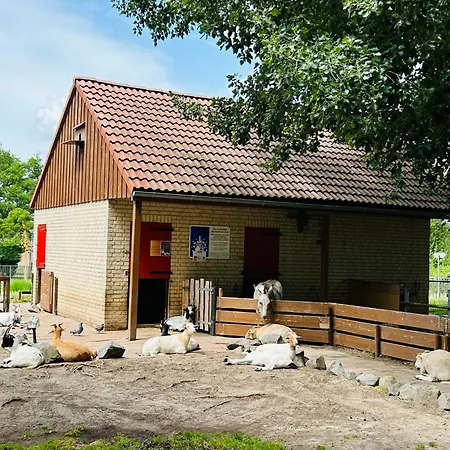 Holiday Coco Luxury By Interhome * Ewijk