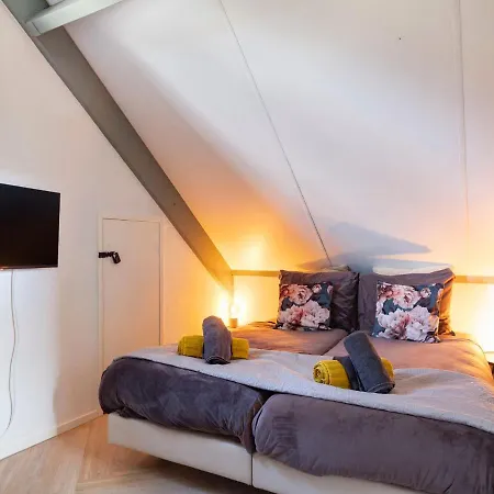 Holiday Coco Luxury By Interhome Ewijk